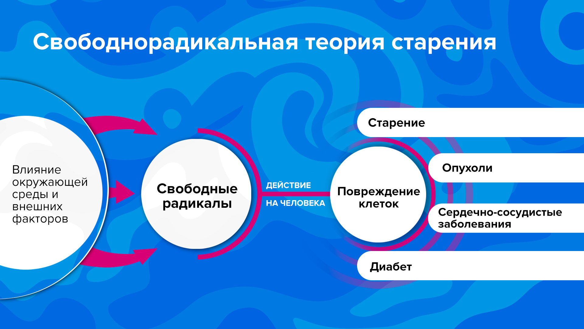 Preview Открытие: Социальные связи — мощный фактор замедления старения