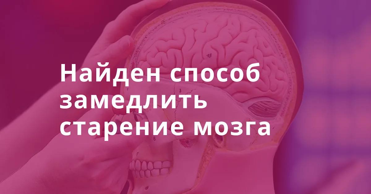 Preview Как замедлить старение мозга: 8 ключевых привычек