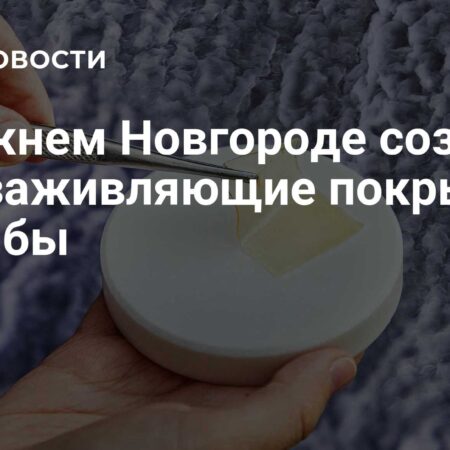 В Нижнем Новгороде разработали ранозаживляющие покрытия из рыбы