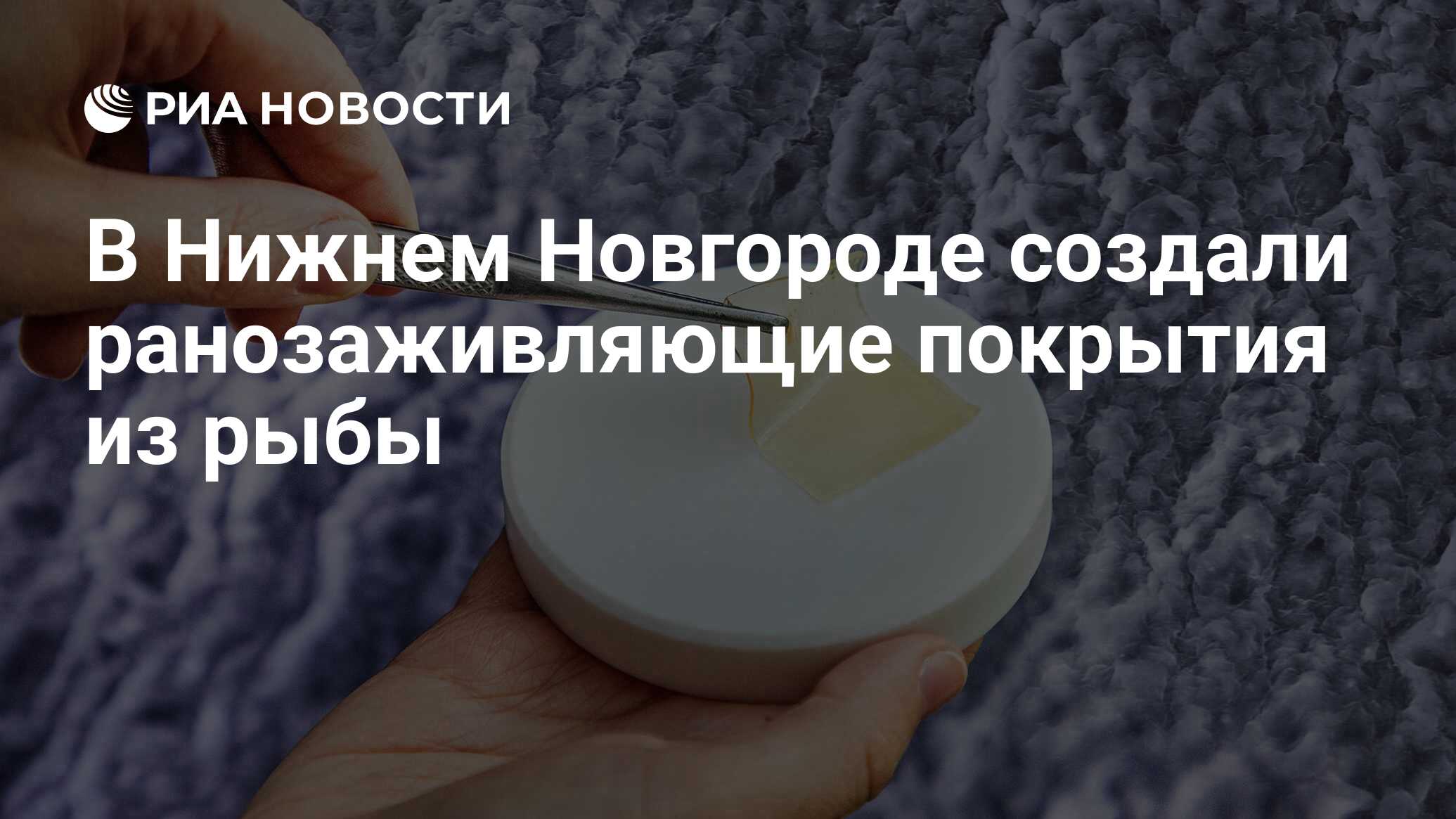Preview В Нижнем Новгороде разработали ранозаживляющие покрытия из рыбы