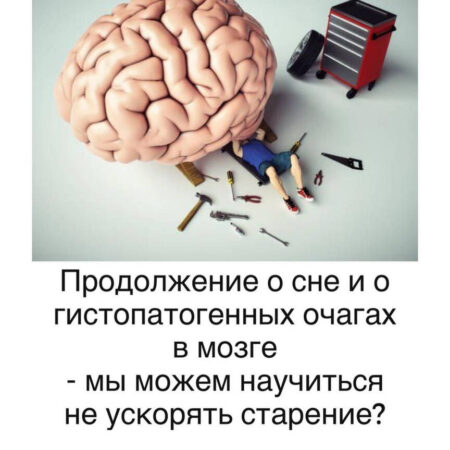 Некачественный Сон Ускоряет Старение Мозга: Новые Научные Данные