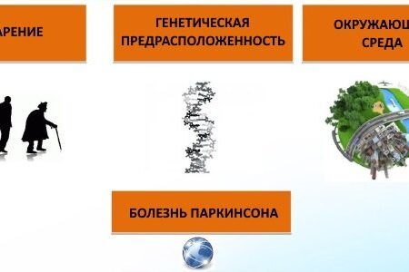 Загрязнение окружающей среды и риск болезни Паркинсона: Новые данные