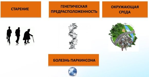 Preview Загрязнение окружающей среды и риск болезни Паркинсона: Новые данные