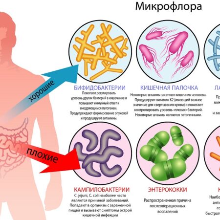 Микропластик: неожиданная угроза для микрофлоры кишечника