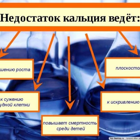 Нехватка кальция: новый взгляд на снижение физической выносливости