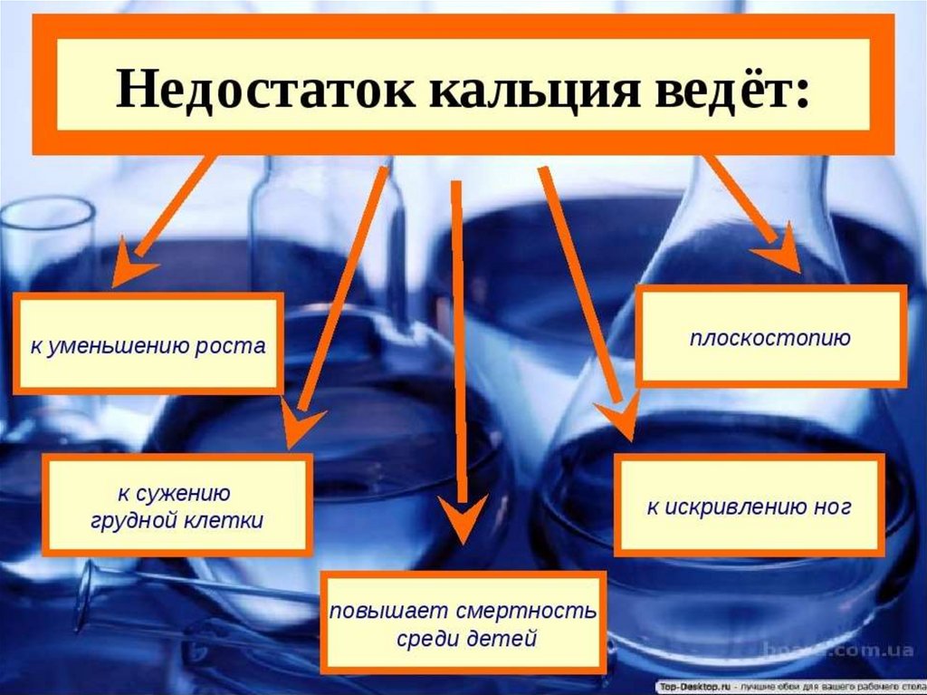 Preview Нехватка кальция: новый взгляд на снижение физической выносливости