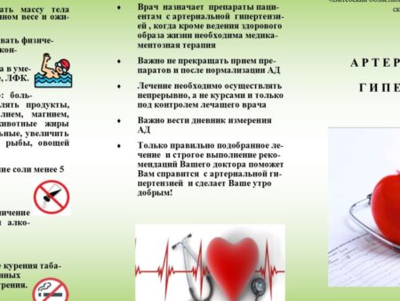 Здоровье сердца в молодости: ключ к долголетию без инфаркта и инсульта