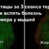 Революция в борьбе с Альцгеймером: наночастицы обращают болезнь вспять