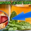 Популярные напитки оказались причиной болезни печени