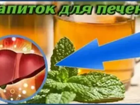 Популярные напитки оказались причиной болезни печени