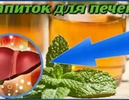 Популярные напитки оказались причиной болезни печени