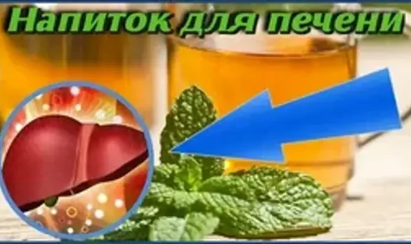 Популярные напитки оказались причиной болезни печени