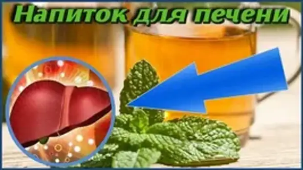 Preview Популярные напитки оказались причиной болезни печени