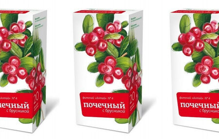 Брусника: природный щит для мочевыводящих путей