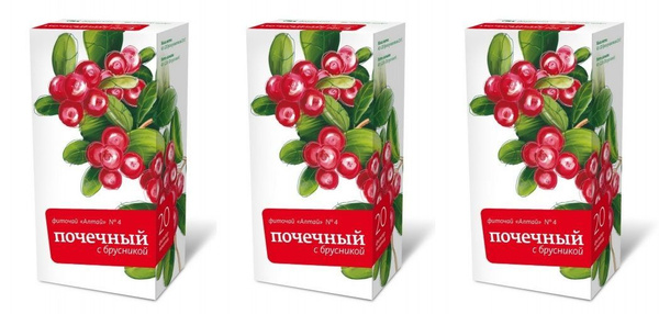 Preview Брусника: природный щит для мочевыводящих путей