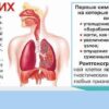 Обнаружен революционный метод выявления риска рака легких у некурящих