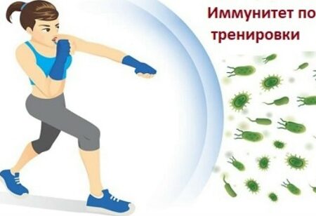 Как спорт естественным образом «прокачивает» иммунитет: Открытие ученых