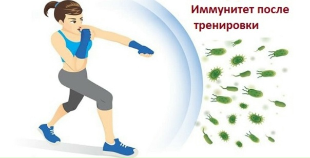 Preview Как спорт естественным образом «прокачивает» иммунитет: Открытие ученых