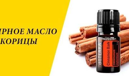 Эфирное масло корицы: натуральное решение против порчи продуктов