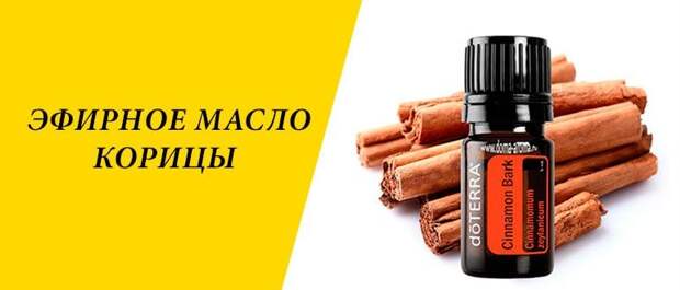 Preview Эфирное масло корицы: натуральное решение против порчи продуктов