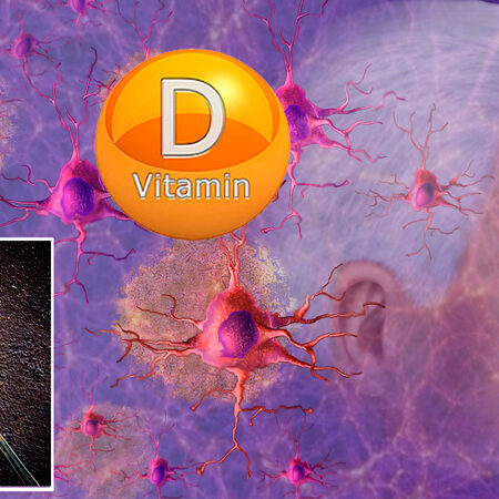 Витамин D3: Неожиданный защитник мозга от старения и болезней