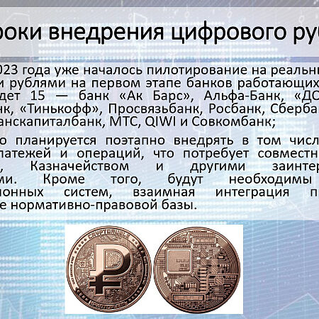 Экономический эксперт разъяснила суть и необходимость цифрового рубля
