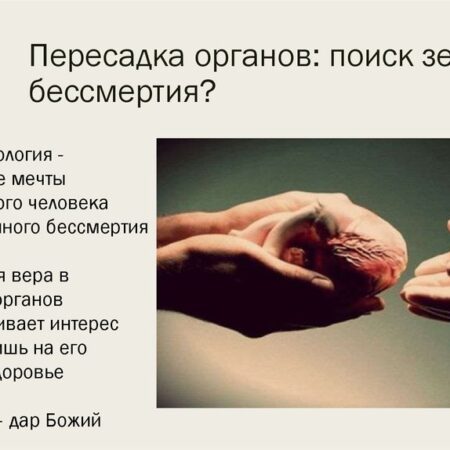 Трансплантация органов: развенчание мифа о вечной молодости