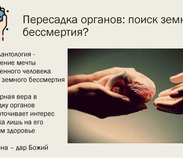 Трансплантация органов: развенчание мифа о вечной молодости