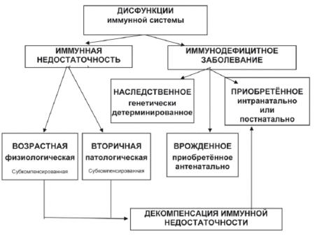 Гипоксия как ключевой фактор нарушения работы иммунной системы