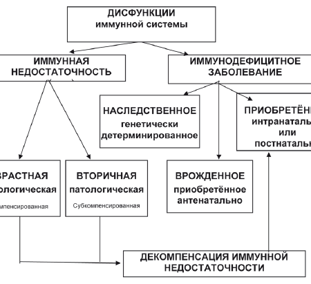 Гипоксия как ключевой фактор нарушения работы иммунной системы